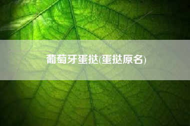 葡萄牙蛋挞(蛋挞原名)