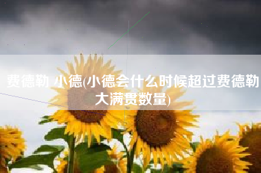 费德勒 小德(小德会什么时候超过费德勒大满贯数量)