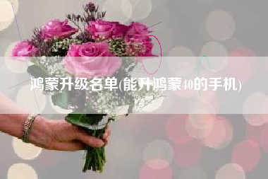 鸿蒙升级名单(能升鸿蒙40的手机)