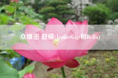 众维密 超模(JennerGigi和Bella)