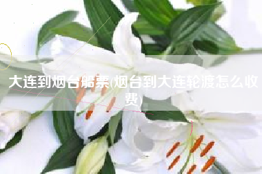 详细阅读:大连到烟台船票(烟台到大连轮渡怎么收费) 大连到烟台船票(烟台到大连轮渡怎么收费)