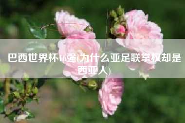 巴西世界杯16强(为什么亚足联掌权却是西亚人)