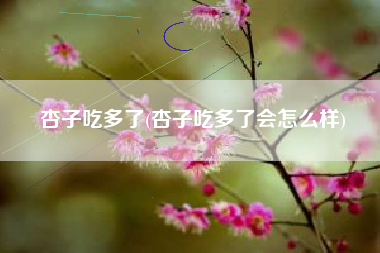 杏子吃多了(杏子吃多了会怎么样)