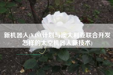 新机器人(NASA计划与澳大利亚联合开发怎样的太空机器人新技术)