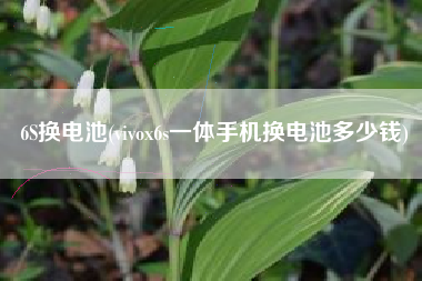 6S换电池(vivox6s一体手机换电池多少钱)