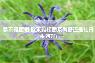 欧莱雅面霜(欧莱雅松露系列好还是牡丹系列好)
