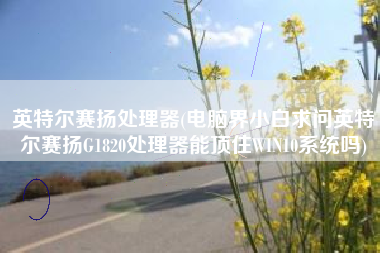 英特尔赛扬处理器(电脑界小白求问英特尔赛扬G1820处理器能顶住WIN10系统吗)