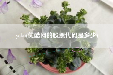 yoku(优酷网的股票代码是多少)