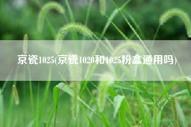 京瓷1025(京瓷1020和1025粉盒通用吗)