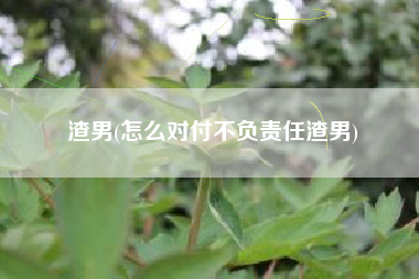 渣男(怎么对付不负责任渣男)