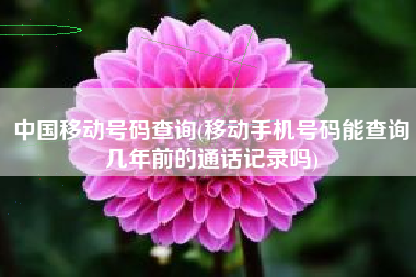 中国移动号码查询(移动手机号码能查询几年前的通话记录吗)