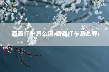 滴滴打车怎么用(滴滴打车怎么弄)