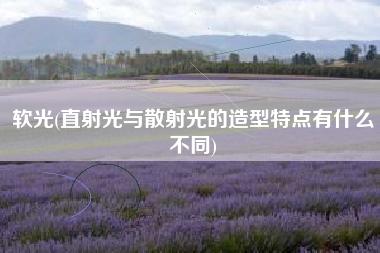 软光(直射光与散射光的造型特点有什么不同)