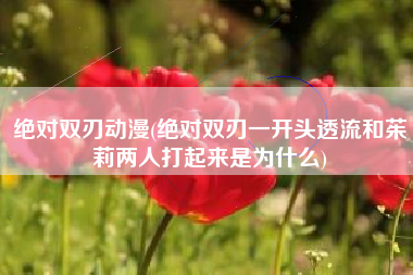 绝对双刃动漫(绝对双刃一开头透流和茱莉两人打起来是为什么)