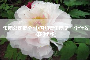 集团公司简介(中国知青集团是一个什么样的组织)