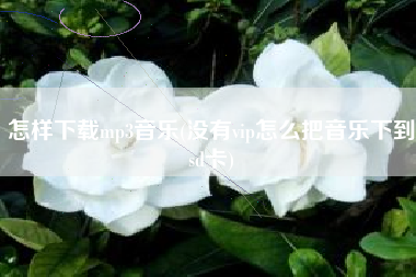 怎样下载mp3音乐(没有vip怎么把音乐下到sd卡)