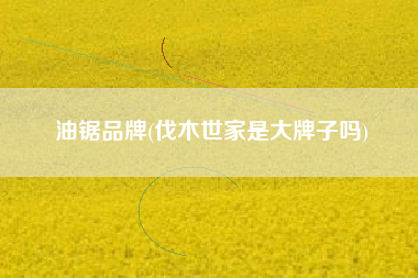 油锯品牌(伐木世家是大牌子吗)