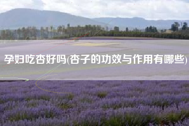 孕妇吃杏好吗(杏子的功效与作用有哪些)
