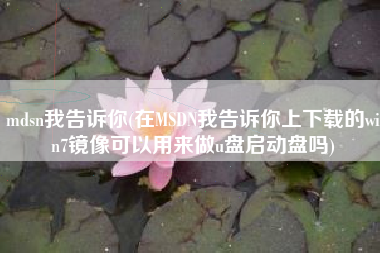 mdsn我告诉你(在MSDN我告诉你上下载的win7镜像可以用来做u盘启动盘吗)