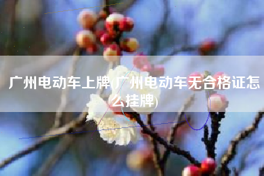 广州电动车上牌(广州电动车无合格证怎么挂牌)