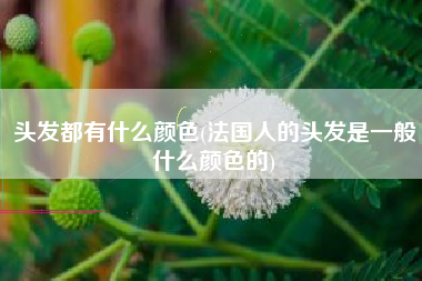 头发都有什么颜色(法国人的头发是一般什么颜色的)