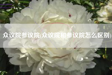 众议院参议院(众议院和参议院怎么区别)