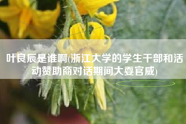 叶良辰是谁啊(浙江大学的学生干部和活动赞助商对话期间大耍官威)