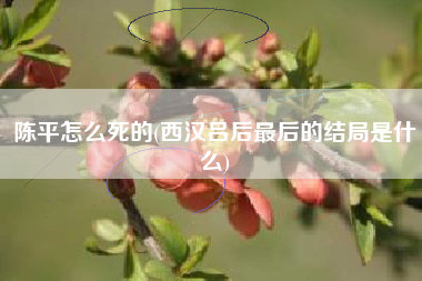 陈平怎么死的(西汉吕后最后的结局是什么)