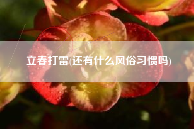 立春打雷(还有什么风俗习惯吗)