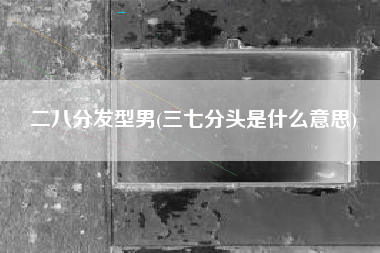 二八分发型男(三七分头是什么意思)
