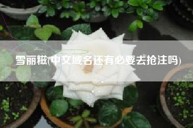 雪丽糍(中文域名还有必要去抢注吗)