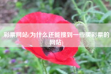 彩票网站(为什么还能搜到一些买彩票的网站)