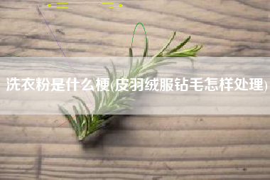 洗衣粉是什么梗(皮羽绒服钻毛怎样处理)