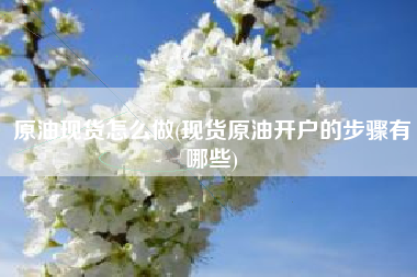 原油现货怎么做(现货原油开户的步骤有哪些)