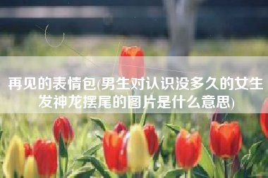 再见的表情包(男生对认识没多久的女生发神龙摆尾的图片是什么意思)