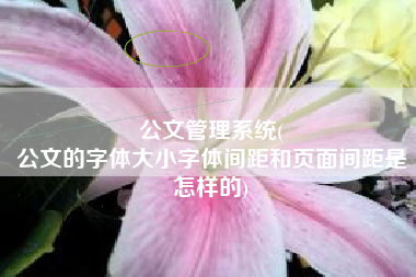 公文管理系统(
公文的字体大小字体间距和页面间距是怎样的) 公文管理系统(
公文的字体大小字体间距和页面间距是怎样的)