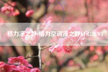 格力凉之静(格力空调凉之静KFR32GW)