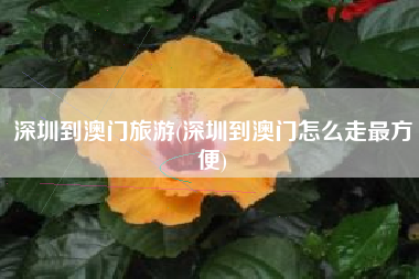 深圳到澳门旅游(深圳到澳门怎么走最方便)