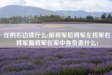 任的右边读什么(前将军后将军左将军右将军偏将军在军中各负责什么)