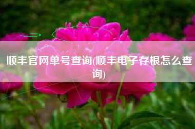顺丰官网单号查询(顺丰电子存根怎么查询)