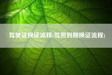 驾驶证换证流程(驾照到期换证流程)