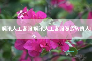 腾讯人工客服(腾讯人工客服怎么转真人)