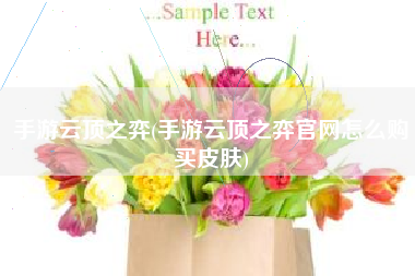 手游云顶之弈(手游云顶之弈官网怎么购买皮肤)