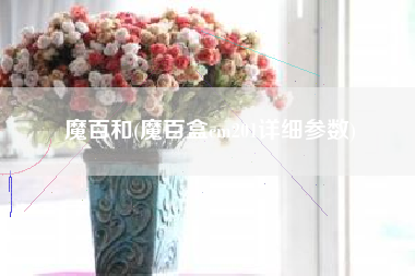 魔百和(魔百盒cm201详细参数)