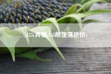 sl55(奔驰sl55敞篷落地价)