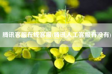 腾讯客服在线客服(腾讯人工客服有没有)