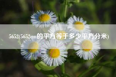 5652(5652cm的平方等于多少平方分米)