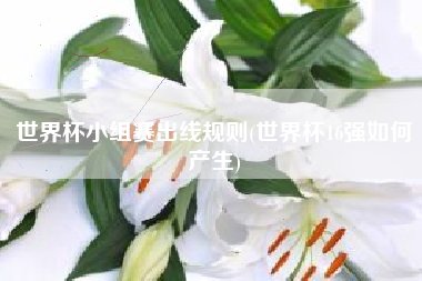 世界杯小组赛出线规则(世界杯16强如何产生)