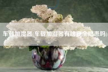车载加湿器(车载加湿器有啥安全隐患吗)