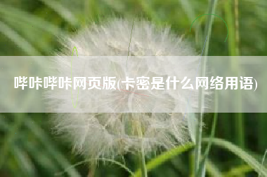 哔咔哔咔网页版(卡密是什么网络用语)